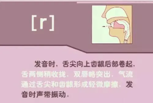 中职生备考高职高考英语:48个英语音标读音示范-第38张图片-四季读书网 中职生备考高职高考英语:48个英语音标读音示范-第38张图片-四季读书网