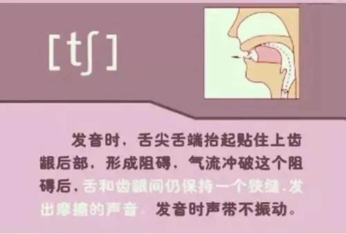 中职生备考高职高考英语:48个英语音标读音示范-第39张图片-四季读书网 中职生备考高职高考英语:48个英语音标读音示范-第39张图片-四季读书网