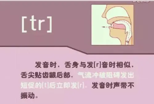中职生备考高职高考英语:48个英语音标读音示范-第40张图片-四季读书网 中职生备考高职高考英语:48个英语音标读音示范-第40张图片-四季读书网
