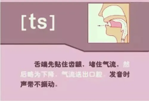 中职生备考高职高考英语:48个英语音标读音示范-第41张图片-四季读书网 中职生备考高职高考英语:48个英语音标读音示范-第41张图片-四季读书网