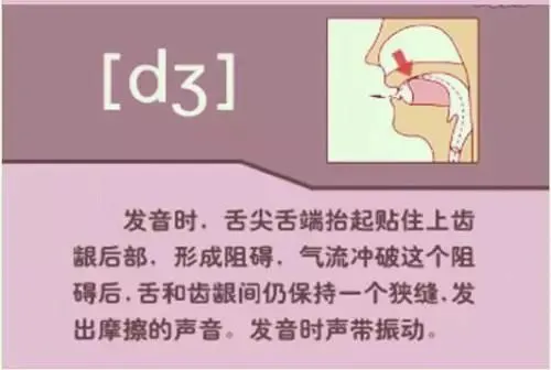 中职生备考高职高考英语:48个英语音标读音示范-第42张图片-四季读书网 中职生备考高职高考英语:48个英语音标读音示范-第42张图片-四季读书网