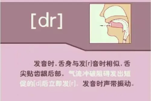 中职生备考高职高考英语:48个英语音标读音示范-第43张图片-四季读书网 中职生备考高职高考英语:48个英语音标读音示范-第43张图片-四季读书网