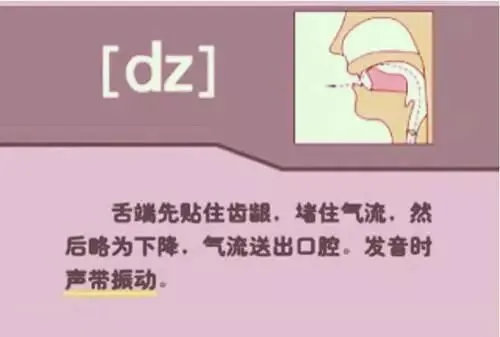 中职生备考高职高考英语:48个英语音标读音示范-第44张图片-四季读书网 中职生备考高职高考英语:48个英语音标读音示范-第44张图片-四季读书网