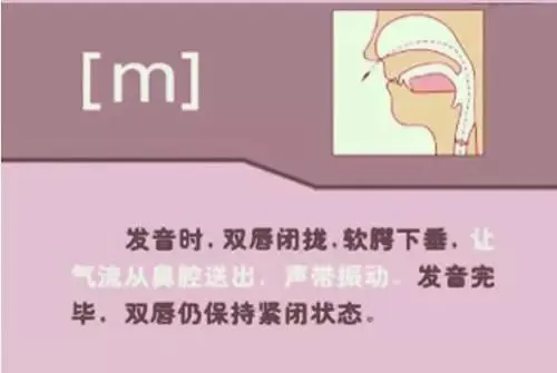 中职生备考高职高考英语:48个英语音标读音示范-第45张图片-四季读书网 中职生备考高职高考英语:48个英语音标读音示范-第45张图片-四季读书网