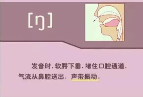 中职生备考高职高考英语:48个英语音标读音示范-第47张图片-四季读书网 中职生备考高职高考英语:48个英语音标读音示范-第47张图片-四季读书网