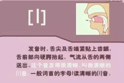 中职生备考高职高考英语:48个英语音标读音示范-第48张图片-四季读书网 中职生备考高职高考英语:48个英语音标读音示范-第48张图片-四季读书网