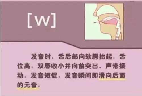 中职生备考高职高考英语:48个英语音标读音示范-第49张图片-四季读书网 中职生备考高职高考英语:48个英语音标读音示范-第49张图片-四季读书网