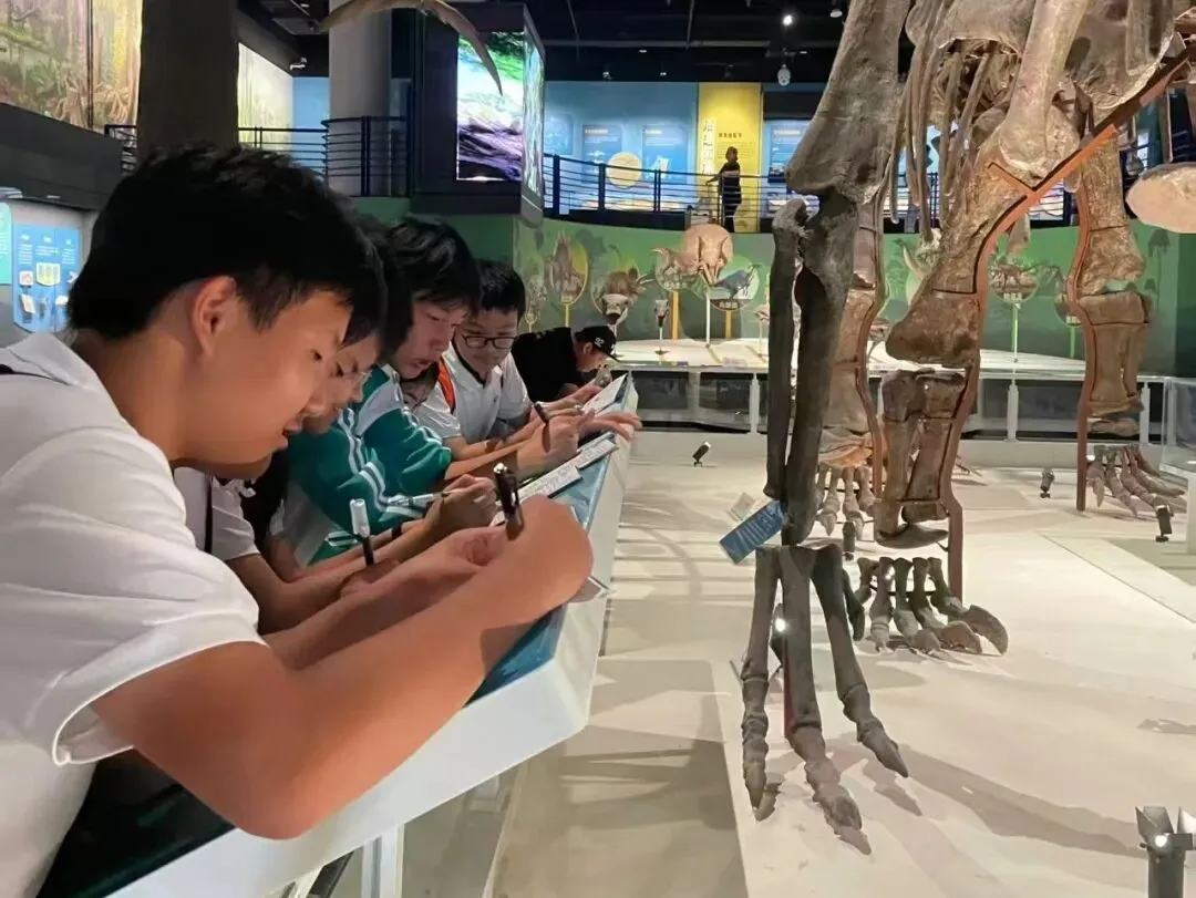 初二年级丨探秘自然天地 探寻生命奥秘——青梧年级国家自然博物馆研学活动侧记-第11张图片-四季读书网