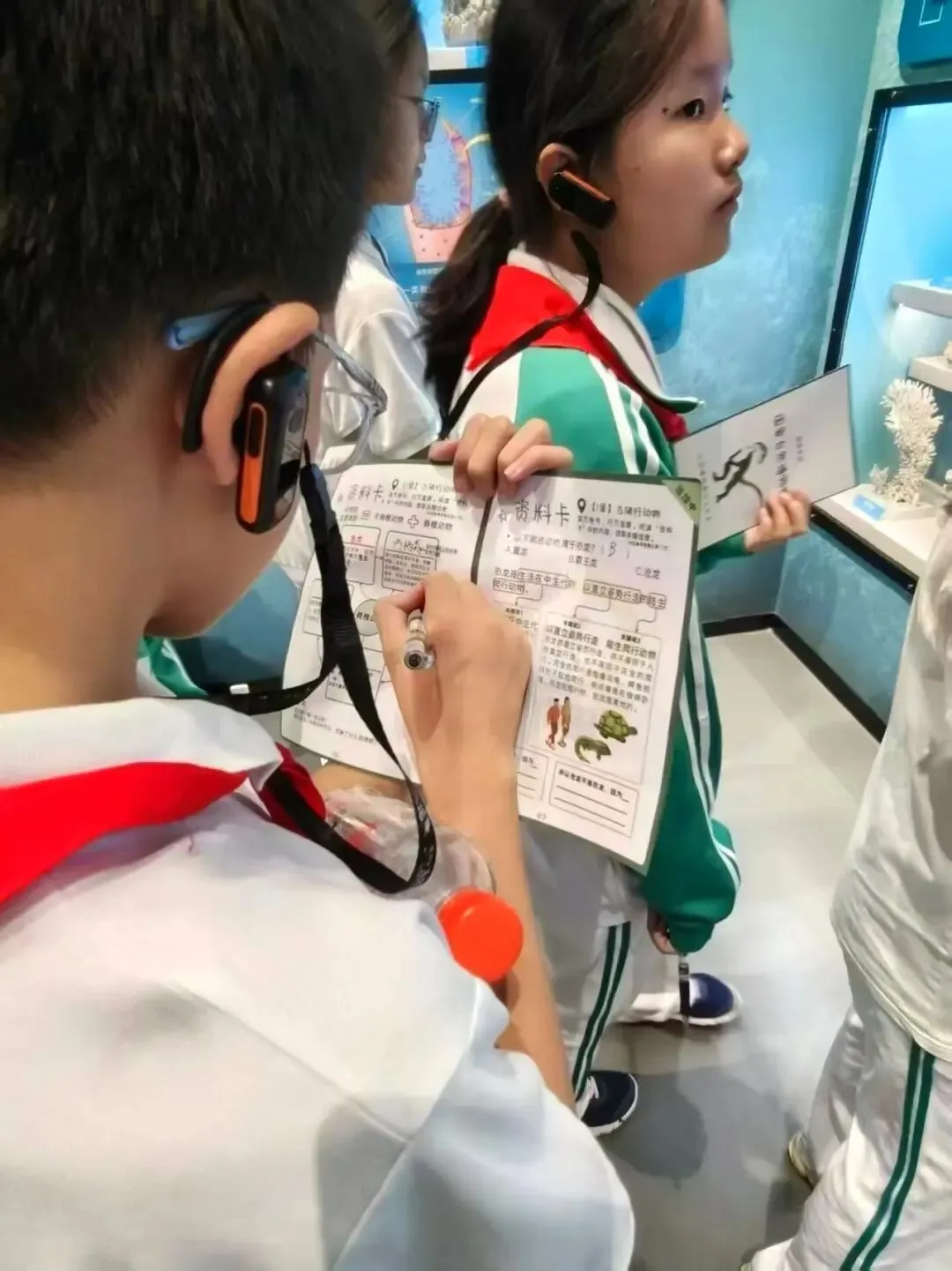 初二年级丨探秘自然天地 探寻生命奥秘——青梧年级国家自然博物馆研学活动侧记-第13张图片-四季读书网