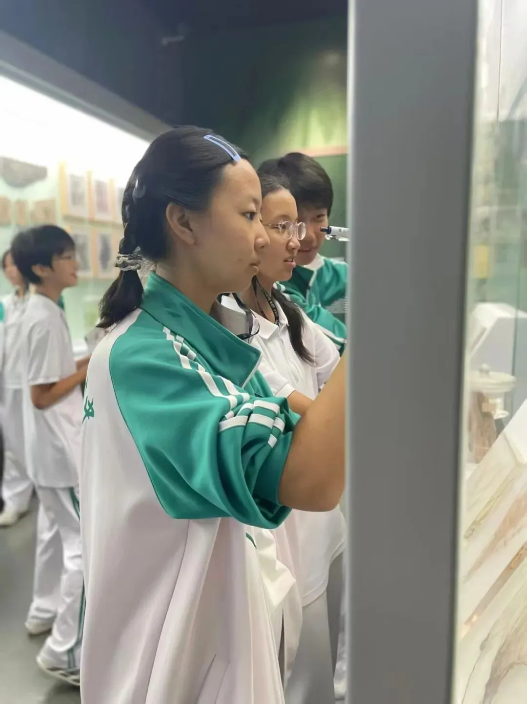 初二年级丨探秘自然天地 探寻生命奥秘——青梧年级国家自然博物馆研学活动侧记-第18张图片-四季读书网