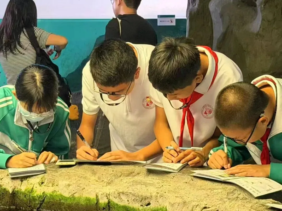 初二年级丨探秘自然天地 探寻生命奥秘——青梧年级国家自然博物馆研学活动侧记-第22张图片-四季读书网
