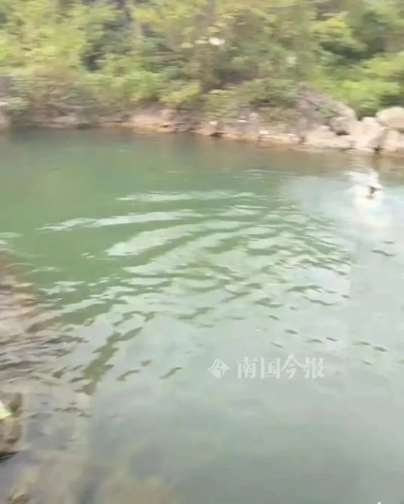 初二男生溺水,同伴没说,老师7小时后才发现……-第3张图片-四季读书网 初二男生溺水,同伴没说,老师7小时后才发现……-第3张图片-四季读书网