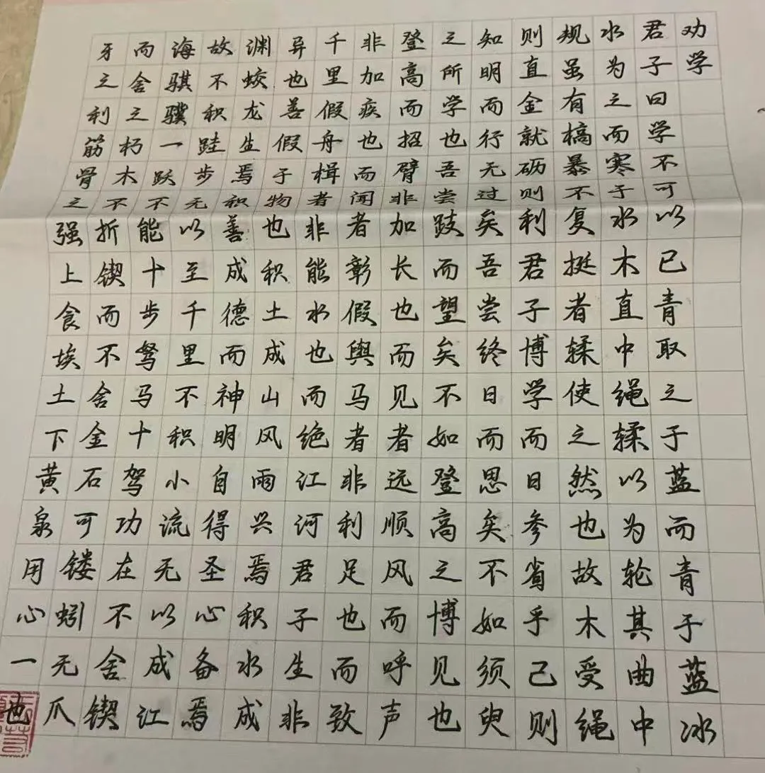 上海中考699.5分上岸格致!化学满分,语文140,她的高分秘籍到底是什么?-第8张图片-四季读书网 上海中考699.5分上岸格致!化学满分,语文140,她的高分秘籍到底是什么?-第8张图片-四季读书网