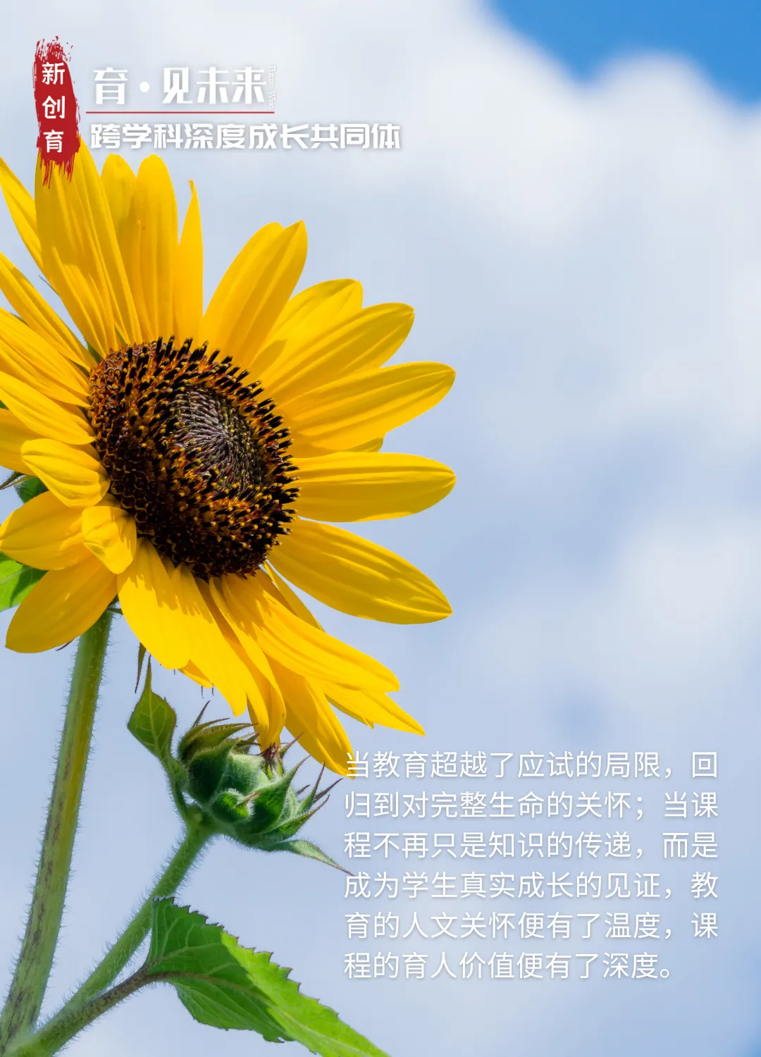 向阳而生 向光而绽——面向初三学生的陪伴成长跨学科主题学习实践案例-第2张图片-四季读书网 向阳而生 向光而绽——面向初三学生的陪伴成长跨学科主题学习实践案例-第2张图片-四季读书网
