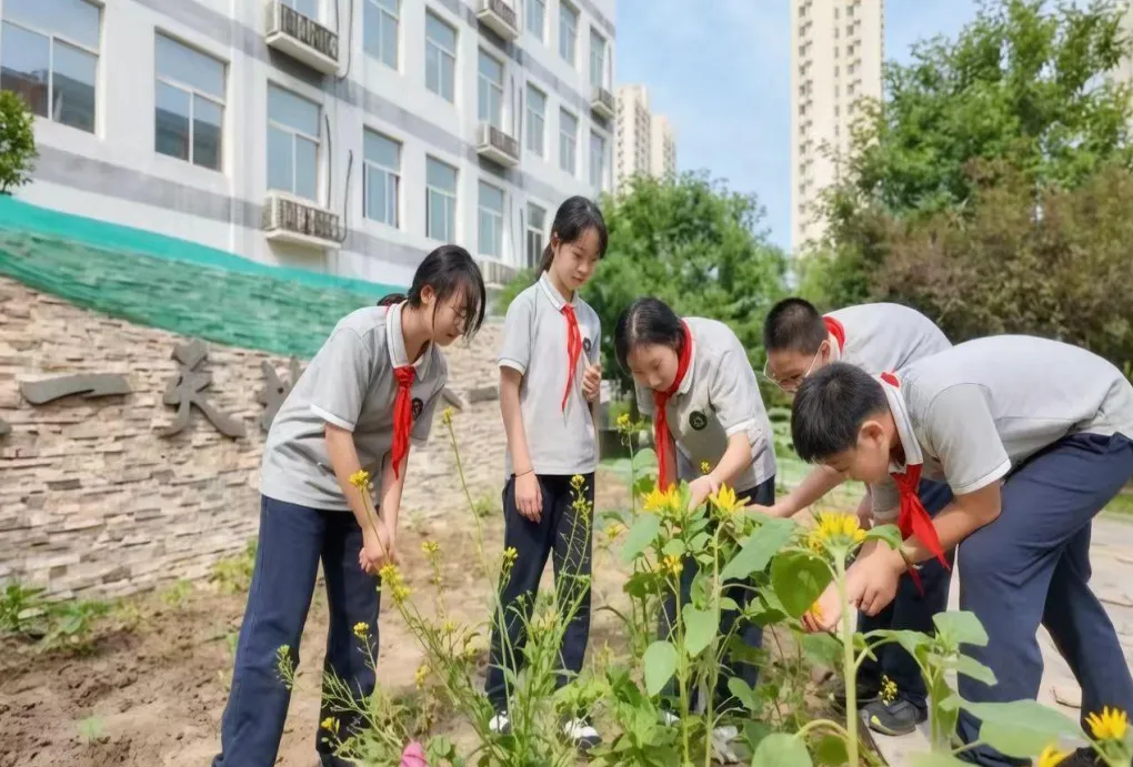 向阳而生 向光而绽——面向初三学生的陪伴成长跨学科主题学习实践案例-第11张图片-四季读书网 向阳而生 向光而绽——面向初三学生的陪伴成长跨学科主题学习实践案例-第11张图片-四季读书网