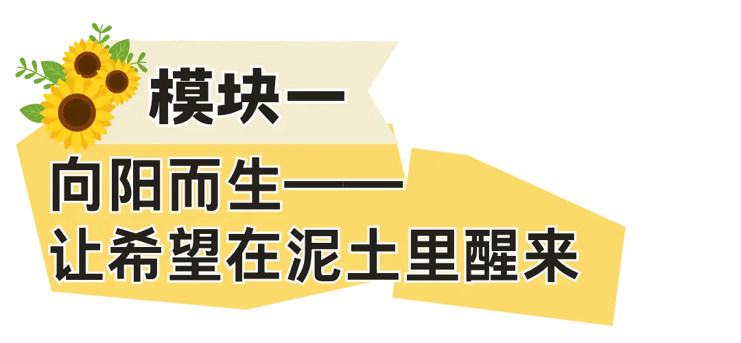 向阳而生 向光而绽——面向初三学生的陪伴成长跨学科主题学习实践案例-第14张图片-四季读书网 向阳而生 向光而绽——面向初三学生的陪伴成长跨学科主题学习实践案例-第14张图片-四季读书网