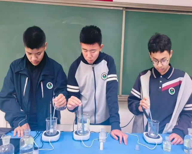 向阳而生 向光而绽——面向初三学生的陪伴成长跨学科主题学习实践案例-第22张图片-四季读书网 向阳而生 向光而绽——面向初三学生的陪伴成长跨学科主题学习实践案例-第22张图片-四季读书网