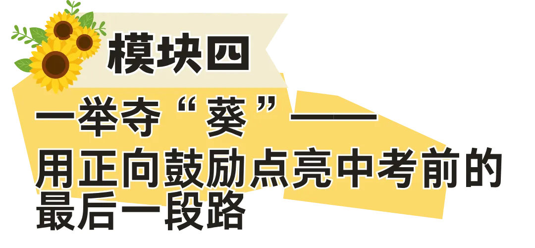 向阳而生 向光而绽——面向初三学生的陪伴成长跨学科主题学习实践案例-第36张图片-四季读书网 向阳而生 向光而绽——面向初三学生的陪伴成长跨学科主题学习实践案例-第36张图片-四季读书网