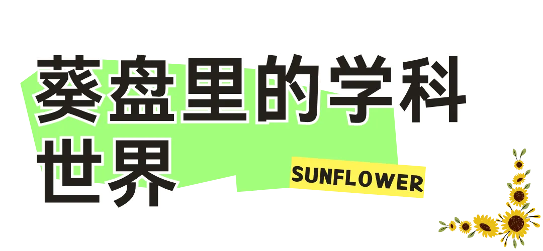 向阳而生 向光而绽——面向初三学生的陪伴成长跨学科主题学习实践案例-第40张图片-四季读书网 向阳而生 向光而绽——面向初三学生的陪伴成长跨学科主题学习实践案例-第40张图片-四季读书网
