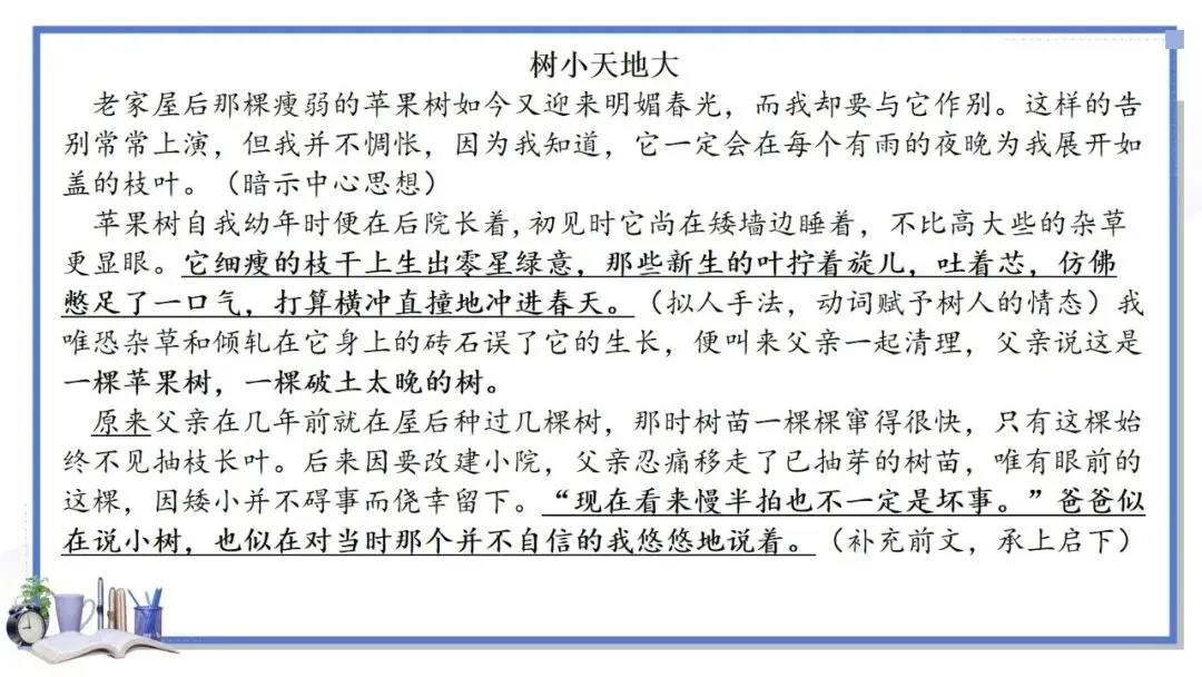 2027年中考语文一轮专项复习:记叙文主题范文Ⅰ-第20张图片-四季读书网