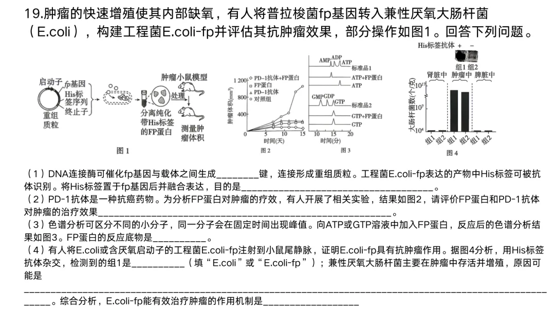 2026高考:项目式试题来了,生物学命题逻辑变了,复习课得跟着变-第1张图片-四季读书网 2026高考:项目式试题来了,生物学命题逻辑变了,复习课得跟着变-第1张图片-四季读书网