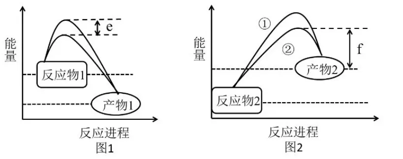 5最新版3.0版(酶)——2026高考真题分类汇编(word版可下载打印可编辑)-第1张图片-四季读书网