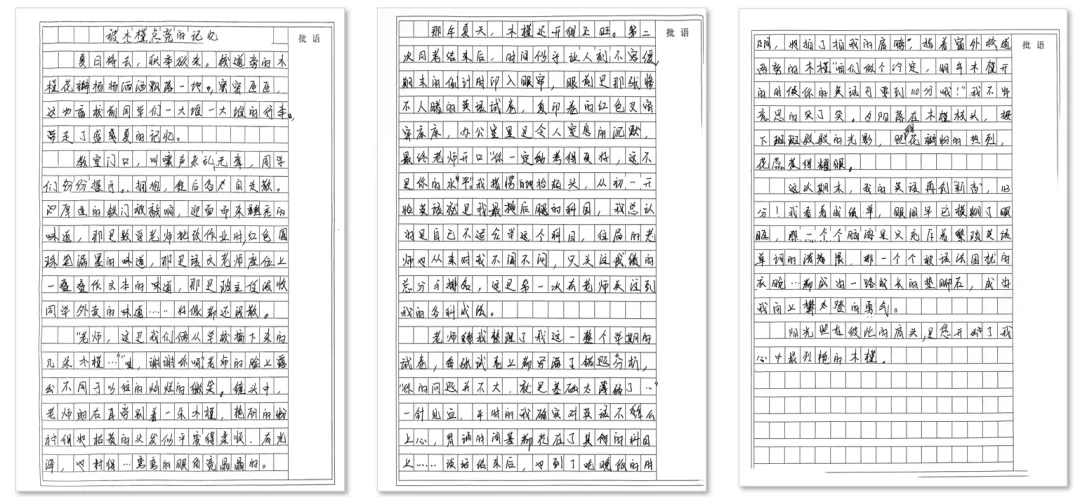 作文急诊室|精批中考作文真题《被______点亮的记忆》:三个动作让二类文升到一类-第1张图片-四季读书网