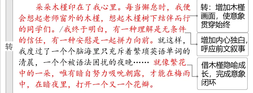 作文急诊室|精批中考作文真题《被______点亮的记忆》:三个动作让二类文升到一类-第6张图片-四季读书网