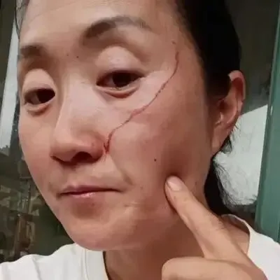 高考后女儿殴打陪读妈妈:满分成绩抵不过及格教养-第1张图片-四季读书网 高考后女儿殴打陪读妈妈:满分成绩抵不过及格教养-第1张图片-四季读书网