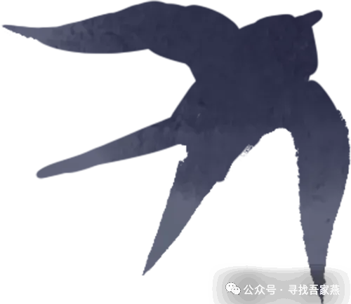 更高的梦想 加速的初三——长外第26届运动会C2415班掠影-第2张图片-四季读书网 更高的梦想 加速的初三——长外第26届运动会C2415班掠影-第2张图片-四季读书网