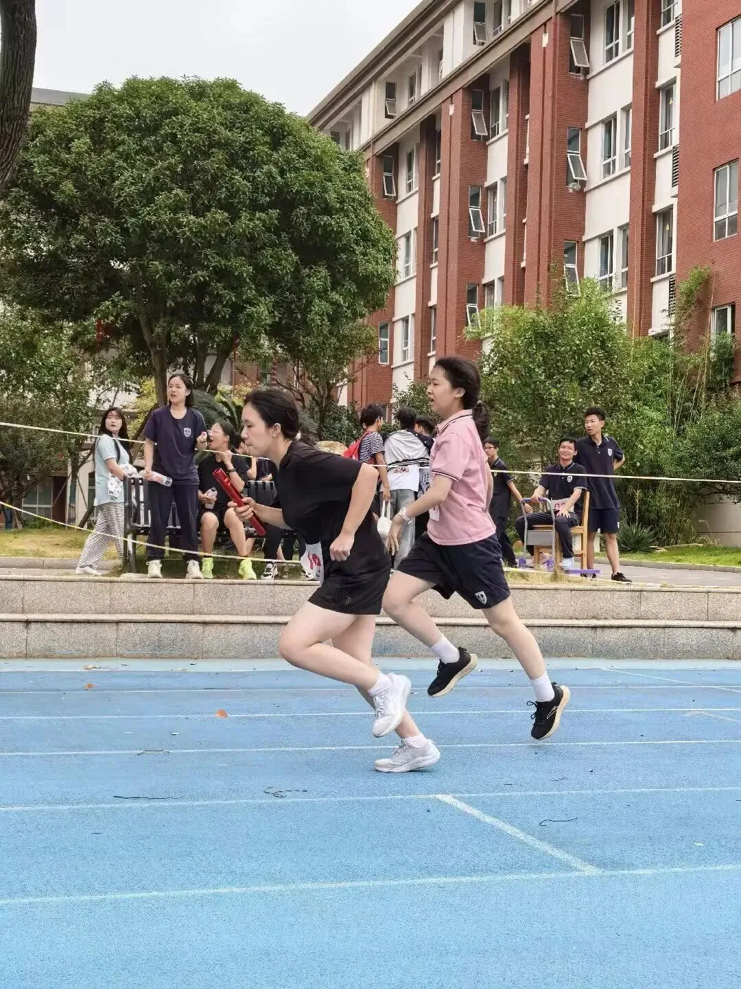 更高的梦想 加速的初三——长外第26届运动会C2415班掠影-第4张图片-四季读书网 更高的梦想 加速的初三——长外第26届运动会C2415班掠影-第4张图片-四季读书网