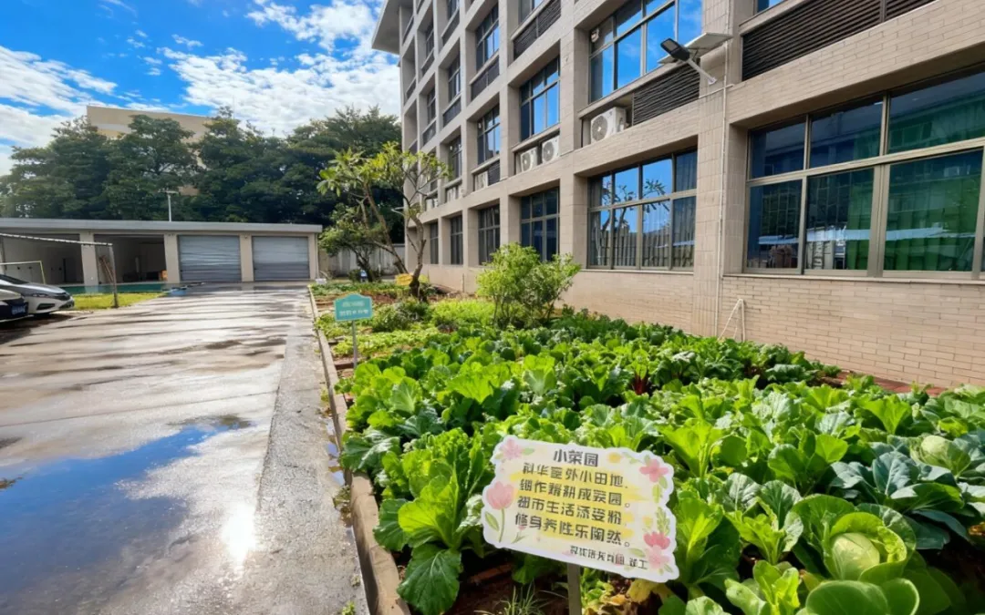 科华 x 春节 | 大年初三 福马高照 财源广进!-第33张图片-四季读书网 科华 x 春节 | 大年初三 福马高照 财源广进!-第33张图片-四季读书网