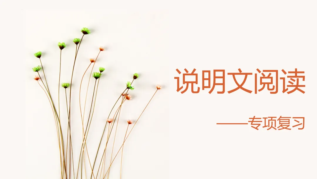 中考策略:说明文阅读专项复习-第1张图片-四季读书网