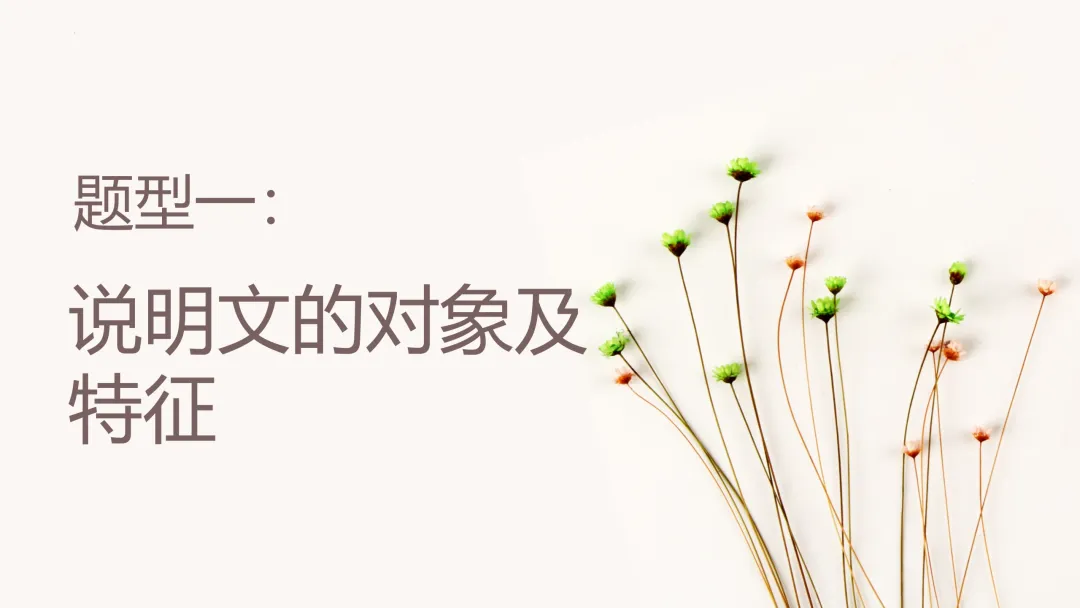 中考策略:说明文阅读专项复习-第6张图片-四季读书网