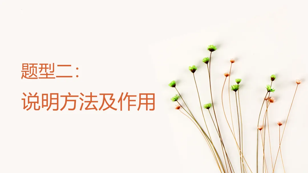 中考策略:说明文阅读专项复习-第10张图片-四季读书网