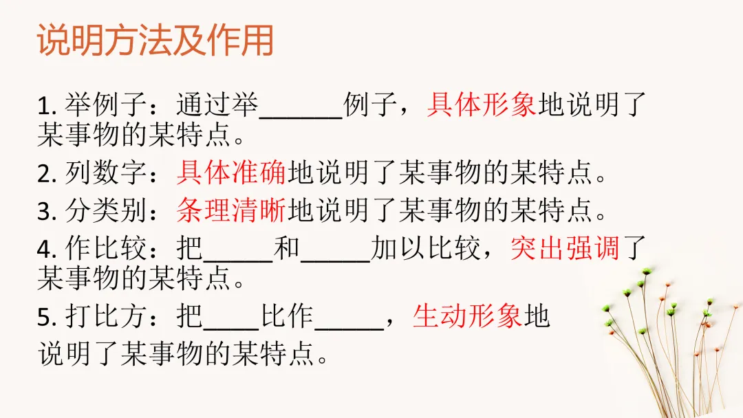 中考策略:说明文阅读专项复习-第11张图片-四季读书网