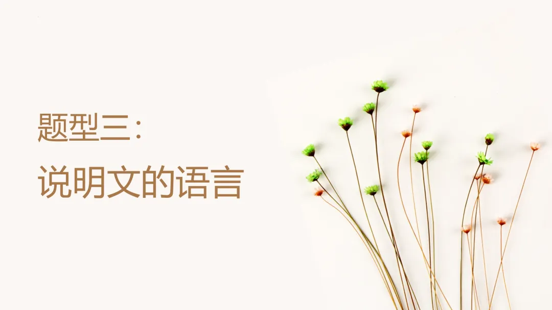中考策略:说明文阅读专项复习-第14张图片-四季读书网