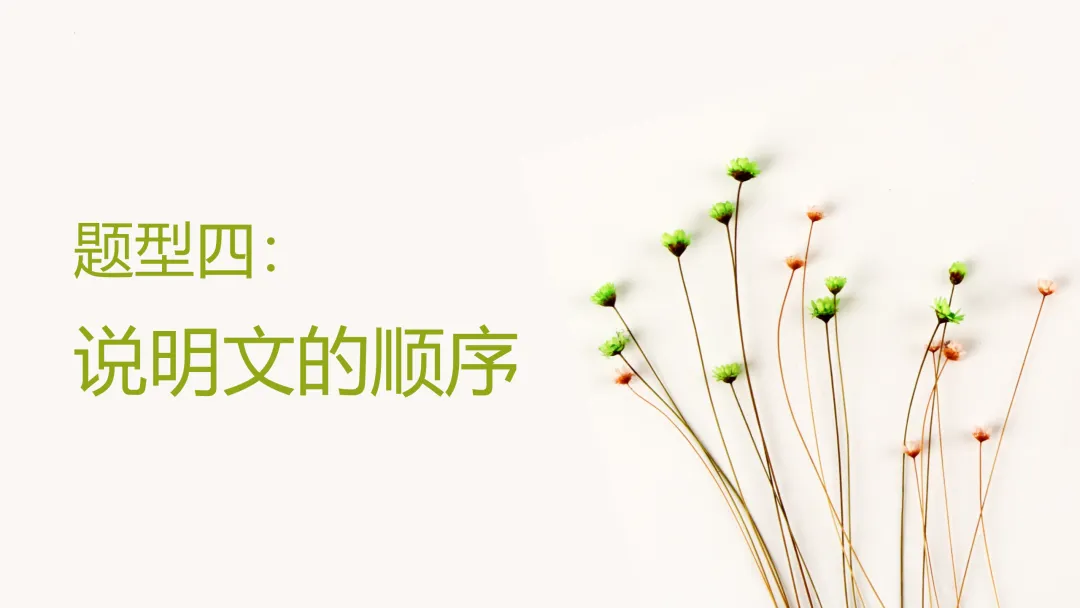 中考策略:说明文阅读专项复习-第21张图片-四季读书网