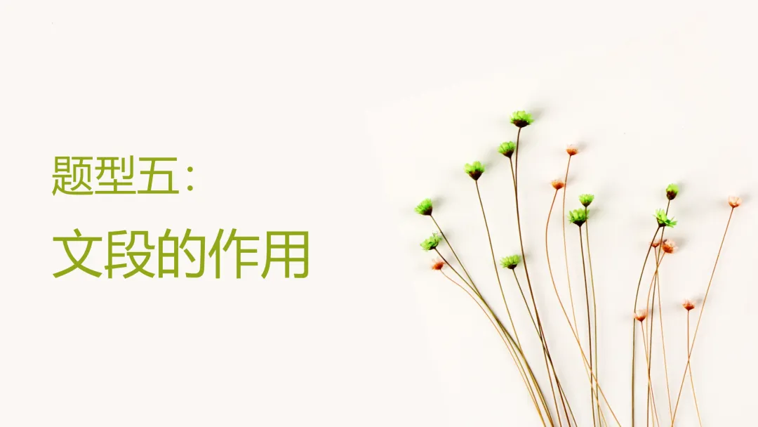 中考策略:说明文阅读专项复习-第25张图片-四季读书网