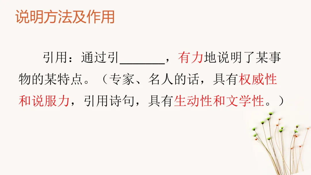 中考策略:说明文阅读专项复习-第30张图片-四季读书网