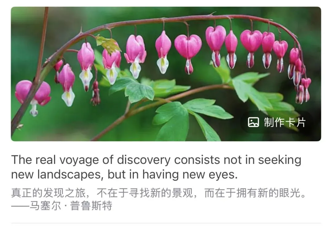 上海高考英语|高一为什么要解决英语学科-第1张图片-四季读书网