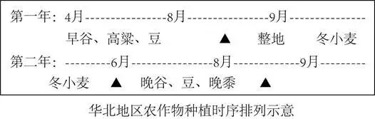 打卡中考 | 我国南北方农业分布的差异(098)-第4张图片-四季读书网 打卡中考 | 我国南北方农业分布的差异(098)-第4张图片-四季读书网
