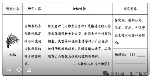 2026年中考基础与运用题汇编-第8张图片-四季读书网 2026年中考基础与运用题汇编-第8张图片-四季读书网