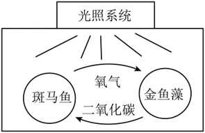 2026中考真题分类汇编(二)-非连续文本阅读-第9张图片-四季读书网 2026中考真题分类汇编(二)-非连续文本阅读-第9张图片-四季读书网
