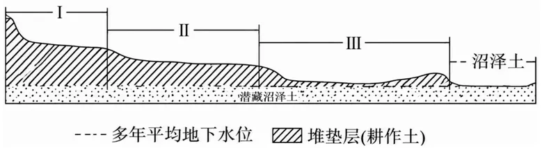 《高考真题官方解析合集》2026年高考地理河北卷官方解析(无水印)-第7张图片-四季读书网 《高考真题官方解析合集》2026年高考地理河北卷官方解析(无水印)-第7张图片-四季读书网