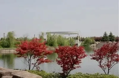 安徽师范大学艺术类考研真题及参考书目来啦!快收藏吧!-第10张图片-四季读书网
