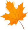 把荣光收进行囊,向中考首战启航-第4张图片-四季读书网 把荣光收进行囊,向中考首战启航-第4张图片-四季读书网