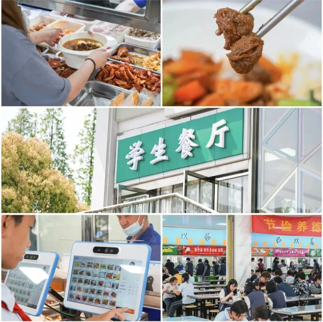 南师大附校中德班|中考择校新选择,奔赴德国顶尖学府的优质赛道-第25张图片-四季读书网 南师大附校中德班|中考择校新选择,奔赴德国顶尖学府的优质赛道-第25张图片-四季读书网