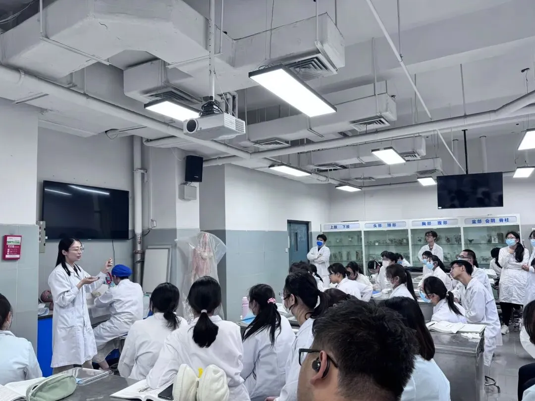2026年高考启示录:学医,只给真喜欢和有准备的人-第2张图片-四季读书网 2026年高考启示录:学医,只给真喜欢和有准备的人-第2张图片-四季读书网
