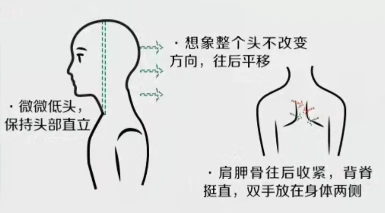 2027年山东高考报名证件照拍摄要求和注意事项-第5张图片-四季读书网